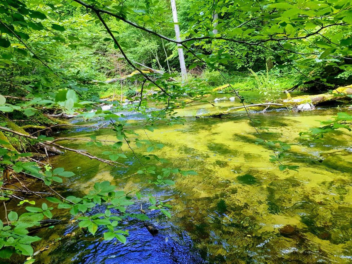 Jaskolka - Pokoje I Apartament Przy Plazy Olštýn Exteriér fotografie